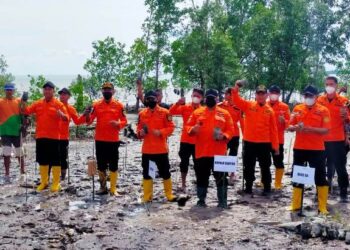 Sambut HUT ke-50, Kantor Basarnas Tarakan Gelar Berbagai Kegiatan, di Antaranya Penanaman Pohon Mangrove