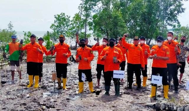 Sambut HUT ke-50, Kantor Basarnas Tarakan Gelar Berbagai Kegiatan, di Antaranya Penanaman Pohon Mangrove