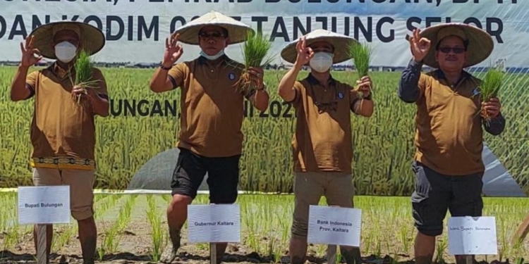 Berkolaborasi Tingkatkan Kesejahteraan Petani