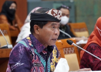 Di Hadapan Komisi X, Gubernur Perjuangkan Status Guru Honorer