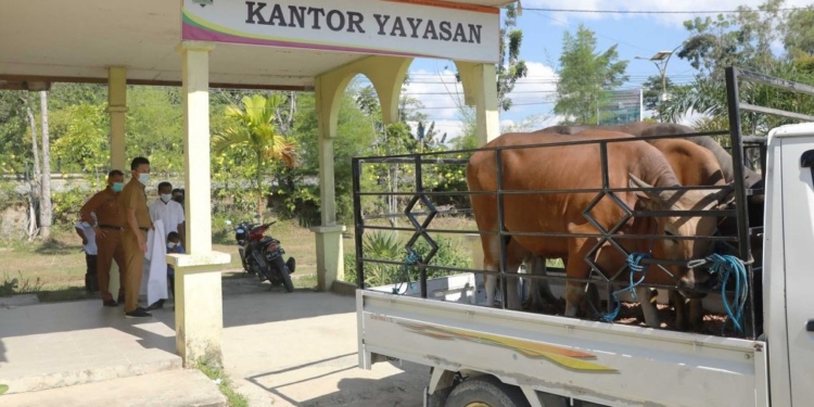 Pastikan Tidak Beli Hewan Kurban Dari Luar