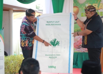 Kaltara Siap Jadi Eksportir Rumput Laut