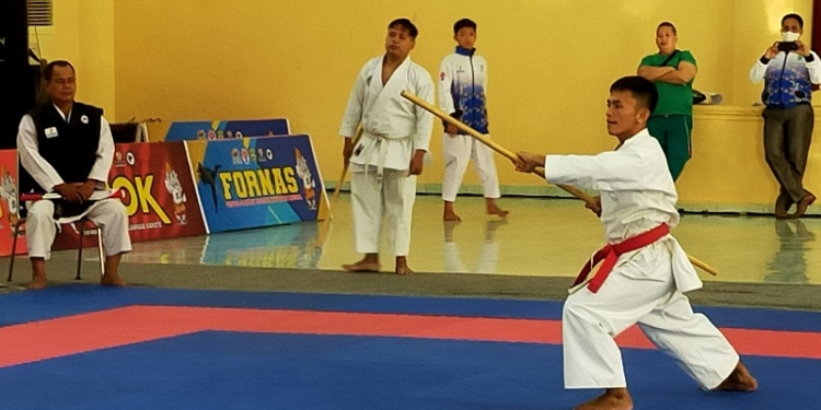 Penggiat YPOK Kaltara Persembahkan 1 Emas dan 1 Perak di Fornas VI Sumsel