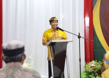 Pertemuan IKA-PIMNAS, Kolaborasi Menuju Indonesia Maju