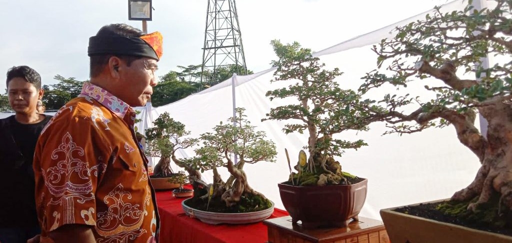 Kukuhkan Komunitas Bonsai Tarakan, Gubernur Dorong Tingkatkan Karya dan Inovasi