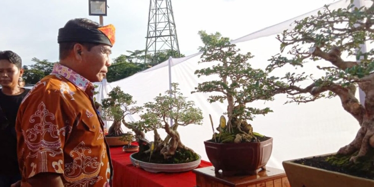 Kukuhkan Komunitas Bonsai Tarakan, Gubernur Dorong Tingkatkan Karya dan Inovasi
