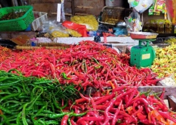 Inflasi di Juli 2022 Turun, Namun Bawang Merah dan Cabai Masih Jadi Kendala