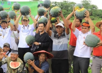 Omzet Menjanjikan, Gubernur Ajak Generasi Muda untuk Bertani