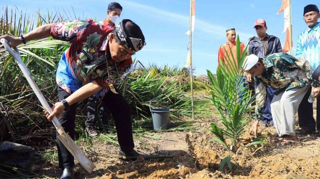 Tanam Sawit Rakyat dan Integrasi Jagung, Harap Petani Tak Andalkan Satu Komoditi