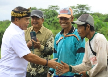 Perkebunan dan Tanaman Pangan Pengaruhi Pendapatan Petani