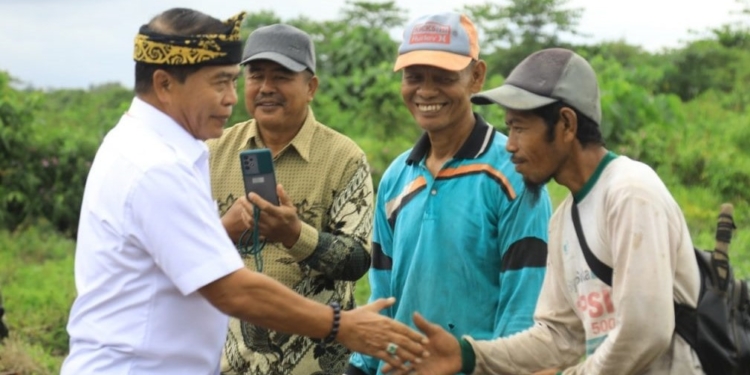 Perkebunan dan Tanaman Pangan Pengaruhi Pendapatan Petani