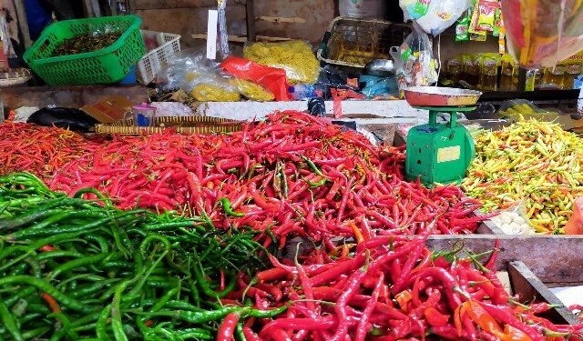 Masa Panen Tiba Dorong Deflasi IHK di Kaltara pada Agustus 2022