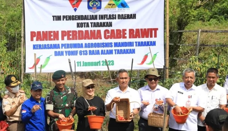 Panen Cabai Rawit, Upaya TPID Tarakan Kendalikan Inflasi