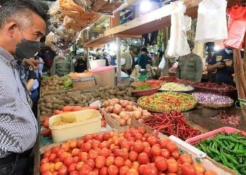 Komoditas Sayur dan Tomat Beri Andil Terkendalinya Inflasi Kaltara di Februari 2023