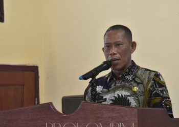 BUMDesma Diharap Mewadahi Usaha Masyarakat Desa