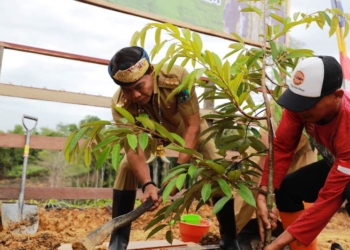 Gubernur Apresiasi Peran BMF Majukan Pertanian dan Peternakan