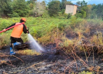 Himbau Warga Waspada Cuaca Panas Ekstrem, Polda Kaltara Bakal Tindak Tegas Pelaku Karhutla