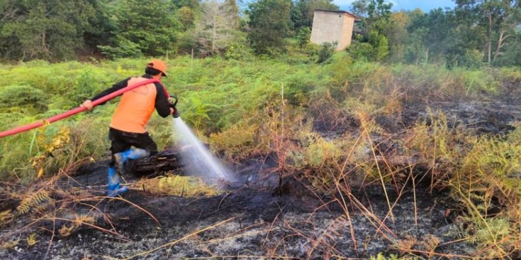 Himbau Warga Waspada Cuaca Panas Ekstrem, Polda Kaltara Bakal Tindak Tegas Pelaku Karhutla