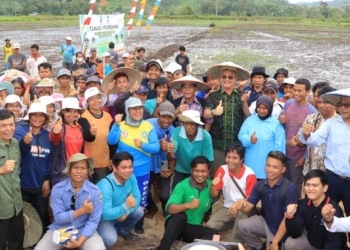 DPKP Bakal Serahkan Alat Bantu Pertanian