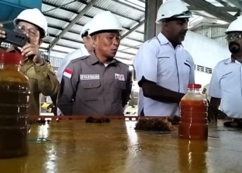 Bupati Harapkan Dibangun Pabrik Minyak Goreng