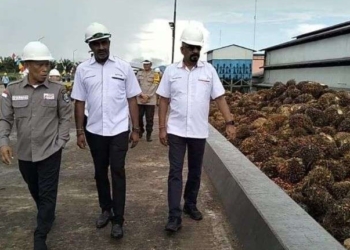 Pemkab Bulungan Lampaui Target Investasi 2023, Realisasi Capai Rp 8 Triliun