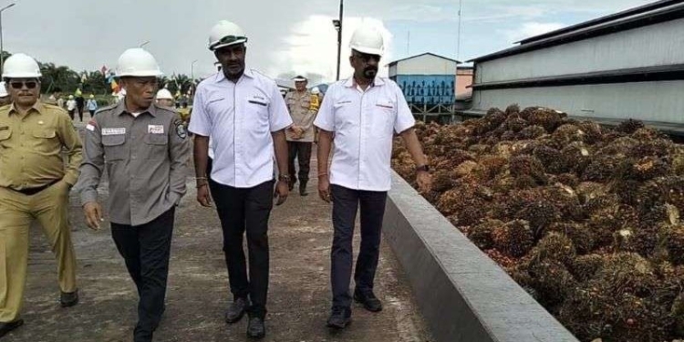 Pemkab Bulungan Lampaui Target Investasi 2023, Realisasi Capai Rp 8 Triliun