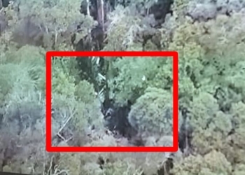 Keberadaan Pesawat Perintis Smart Air Ditemukan