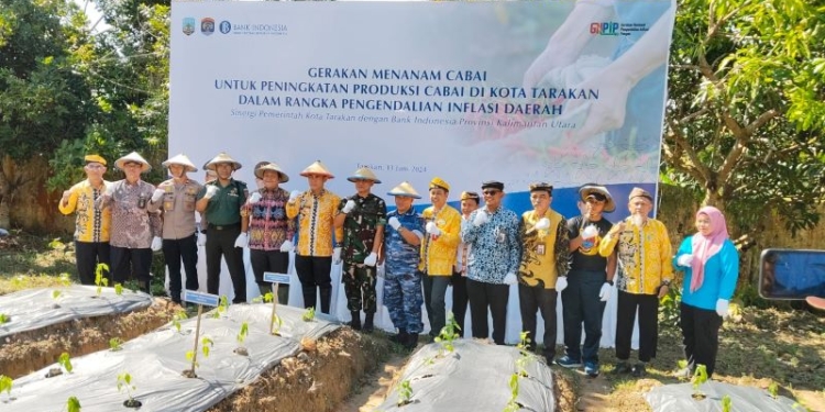 Dukung Pengendalian Inflasi, Bank Indonesia Kolaborasi dengan Pemkot Tarakan Giatkan Gerakan Mananam Cabai