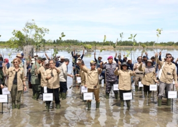 Gubenur Ikuti Kick Off Penanaman Mangrove For Coastal Resilience di Provinsi Kaltara