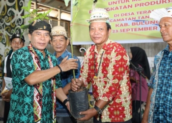 Jadi Pintu Masuk IKN, Kaltara Berbenah Tingkatkan Produktivitas Pangan Nasional