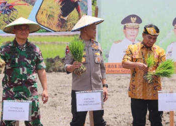 Wakapolda Hadiri Gerakan Perluasan Areal Tanam dan Peningkatan Produksi Padi di Kaltara