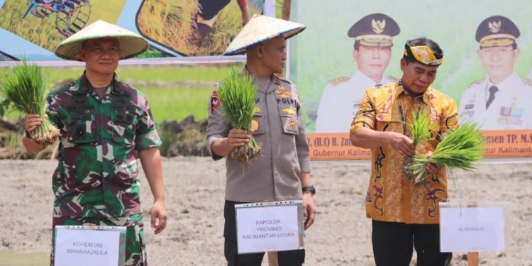 Wakapolda Hadiri Gerakan Perluasan Areal Tanam dan Peningkatan Produksi Padi di Kaltara