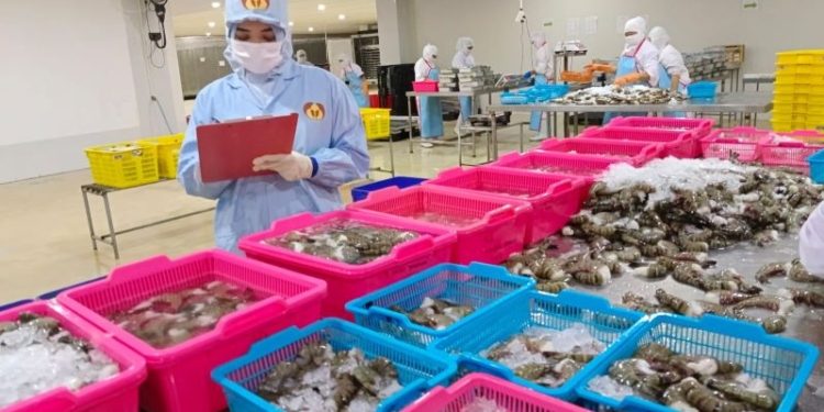 DKP Kaltara Petakan Potensi Hilirasi Produk Perikanan