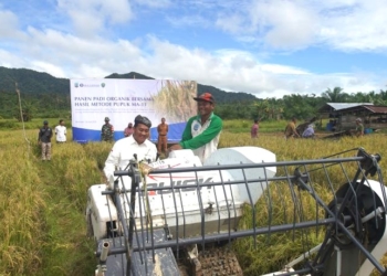 Lanjutkan Tren Positif, Kaltara Bukukan Deflasi -0,09% di September
