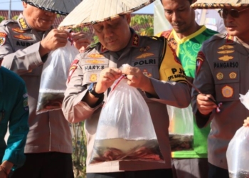 Dukung Swasembada Pangan, Polda Kaltara Tebar Benih Lele