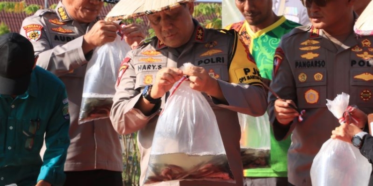 Dukung Swasembada Pangan, Polda Kaltara Tebar Benih Lele
