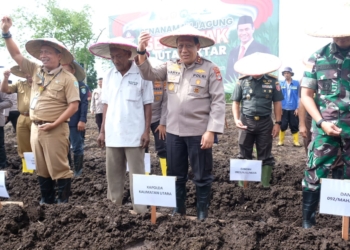Polda Kaltara Turut Sukseskan Tanam Jagung 1 Juta Hektar Â