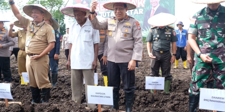 Polda Kaltara Turut Sukseskan Tanam Jagung 1 Juta Hektar  