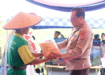 Sinergi Besar untuk Ketahanan Pangan: Polda Kaltara, TNI, Pemerintah, dan Masyarakat Tanam Harapan di Lahan Jagung