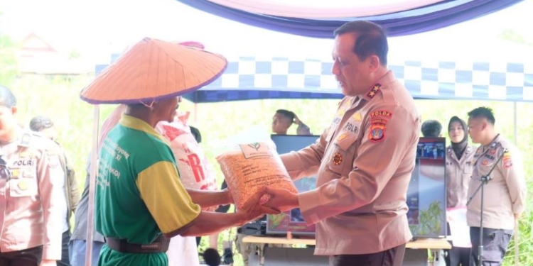 Sinergi Besar untuk Ketahanan Pangan: Polda Kaltara, TNI, Pemerintah, dan Masyarakat Tanam Harapan di Lahan Jagung