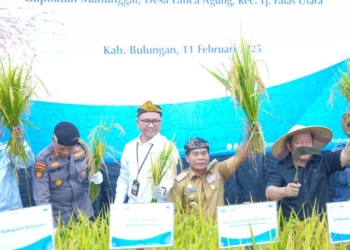 Bersama Forkopimda, KPwBI Provinsi Kaltara Panen Padi di Desa Panca Agung