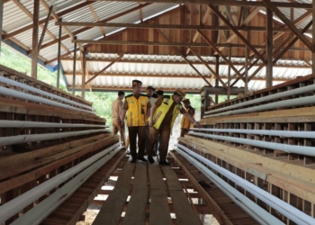 Wagub Ingkong Ala Dorong Perusahaan Berikan Pelatihan Kewirausahaan ke Masyarakat