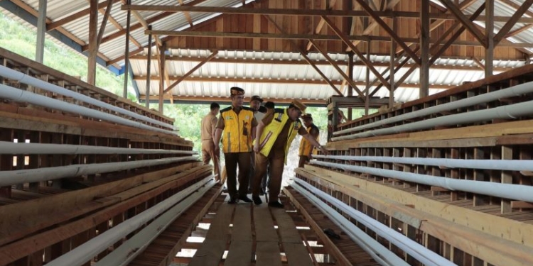 Wagub Ingkong Ala Dorong Perusahaan Berikan Pelatihan Kewirausahaan ke Masyarakat
