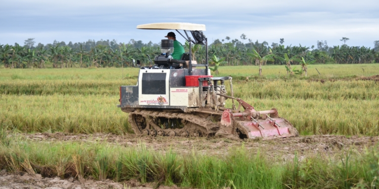 Bupati Syarwani Nilai Perlu Penguatan Pasca Panen