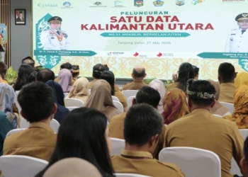 Satu Data Kaltara, Pusat Integrasi Pembangunan Daerah