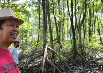 Membangkitkan Kembali KKMB, Menyelamatkan Ikon Ekowisata Tarakan