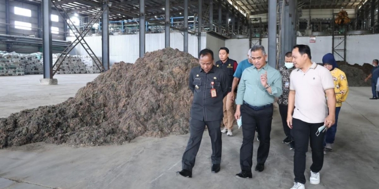 Wali Kota Tarakan Tinjau PT Biota Laut Ganggang di Pinrang, Dorong Konektivitas Petani dengan Industri