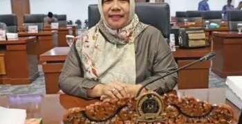 Harapan Baru Ekonomi Desa Kaltara: Lewat Pendataan Petani dan Program Padat Karya