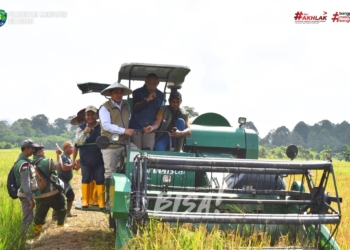 Naik Motor dan Jajal Combine Harvester, Bupati Bulungan Pimpin Panen Raya & Tanam Perdana Modern di Mara Hilir