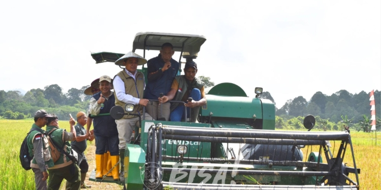 Naik Motor dan Jajal Combine Harvester, Bupati Bulungan Pimpin Panen Raya & Tanam Perdana Modern di Mara Hilir